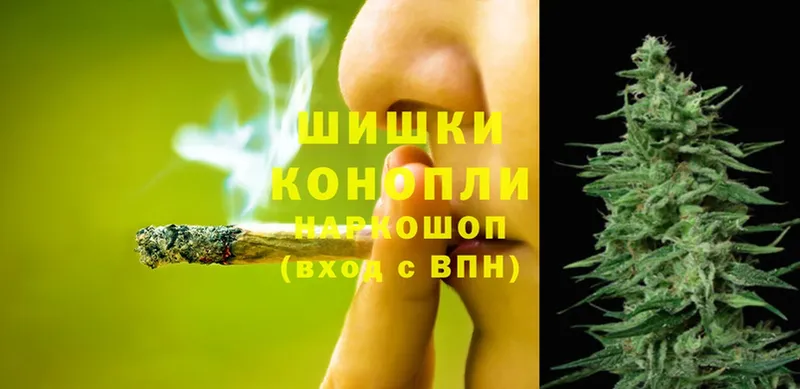 Марихуана SATIVA & INDICA  где найти наркотики  Ладушкин 